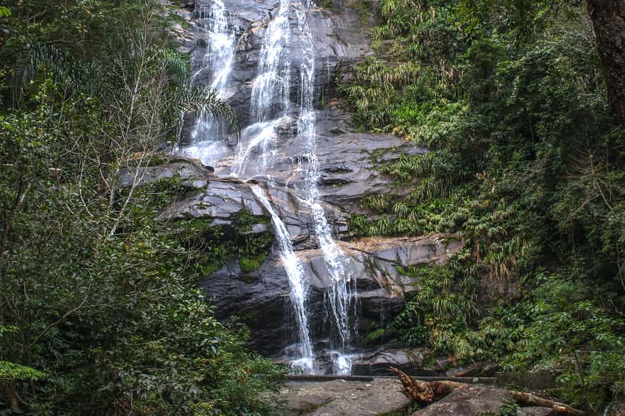 Rio de Janeiro: Tijuca Forest Waterfall of Souls Hike - Key points before you book
