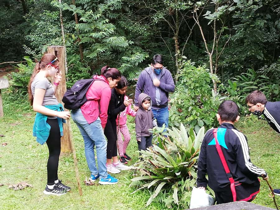 Rio de Janeiro: Tijuca Forest Waterfall of Souls Hike - Why this Tijuca Forest walk feels different