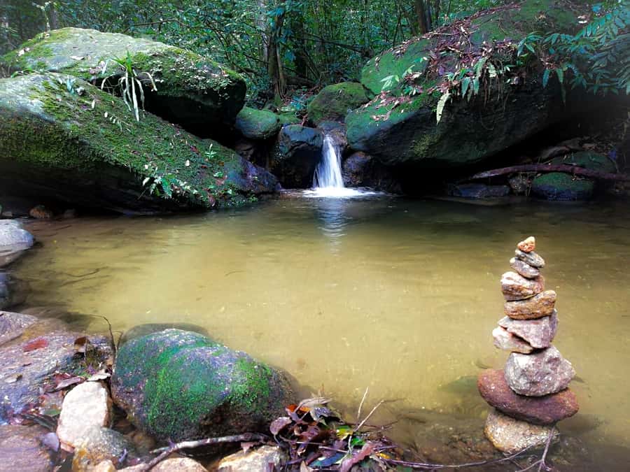 Rio de Janeiro: Tijuca Forest Waterfall of Souls Hike - Wildlife watching without a zoo feeling