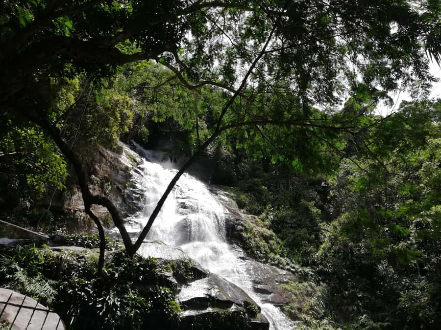 Rio de Janeiro: Tijuca Forest Waterfall of Souls Hike - A garden, lake, and chapel on the way back