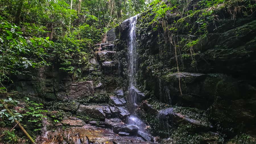 Rio de Janeiro: Tijuca Forest Waterfall of Souls Hike - Reaching the trail from Estrada da Cascatinha
