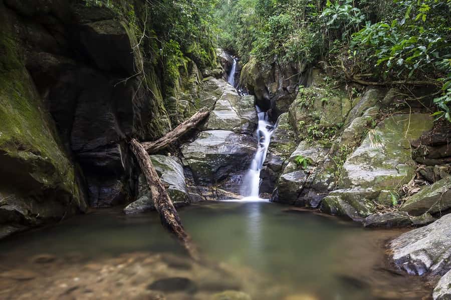 Rio de Janeiro: Tijuca National Park & Botanic Garden Tour - Why this half-day tour works in Rio