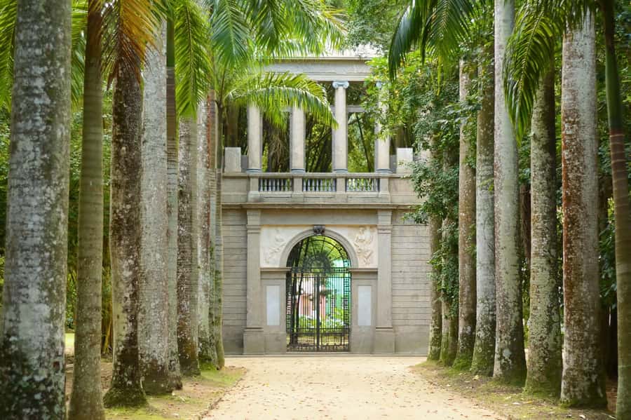 Rio de Janeiro: Tijuca National Park & Botanic Garden Tour - Entering Tijuca National Park and its 1861 story