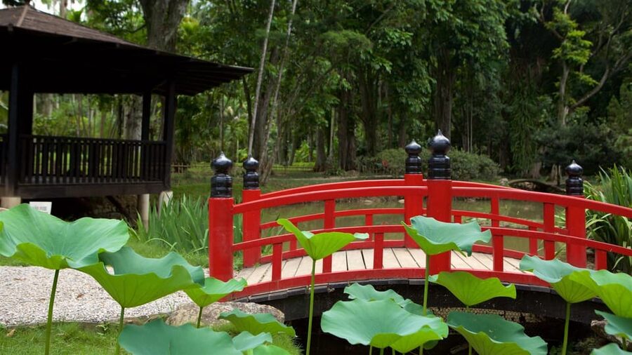 Rio de Janeiro: Tijuca National Park & Botanic Garden Tour - What happens if Tijuca Forest is closed