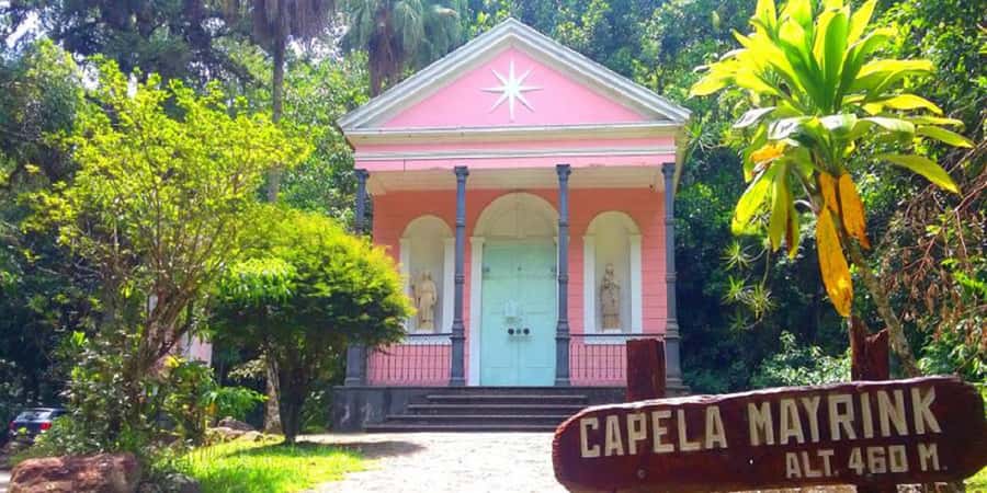Rio de Janeiro: Tijuca National Park EcoTour - Why Tijuca Forest Feels Different From Other Rio Sights