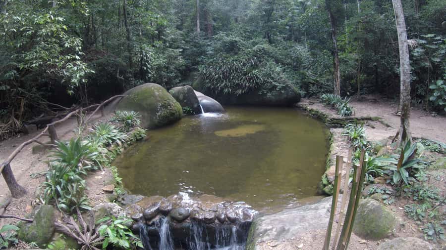 Rio de Janeiro: Tijuca National Park EcoTour - Who Will Get the Most From This EcoTour