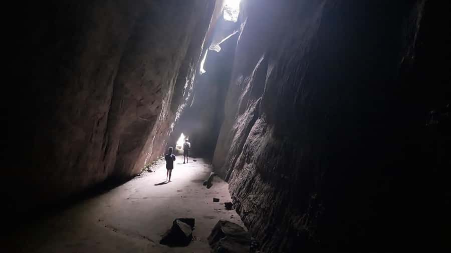 Rio de Janeiro: Tijuca National Park EcoTour - Booking Flexibility and Practical Limits