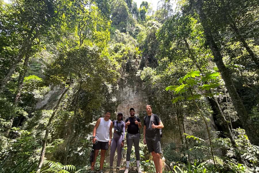 Rio de Janeiro: Tijuca National Park Tour - Gruta dos Morcegos and the walking sections