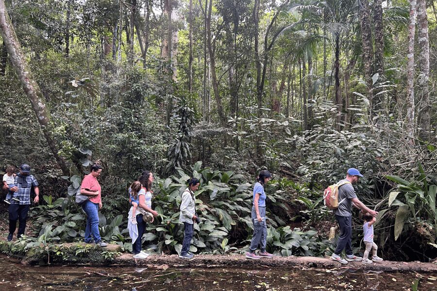 Rio de Janeiro: Tijuca National Park Tour - Wildlife watching with a local guide