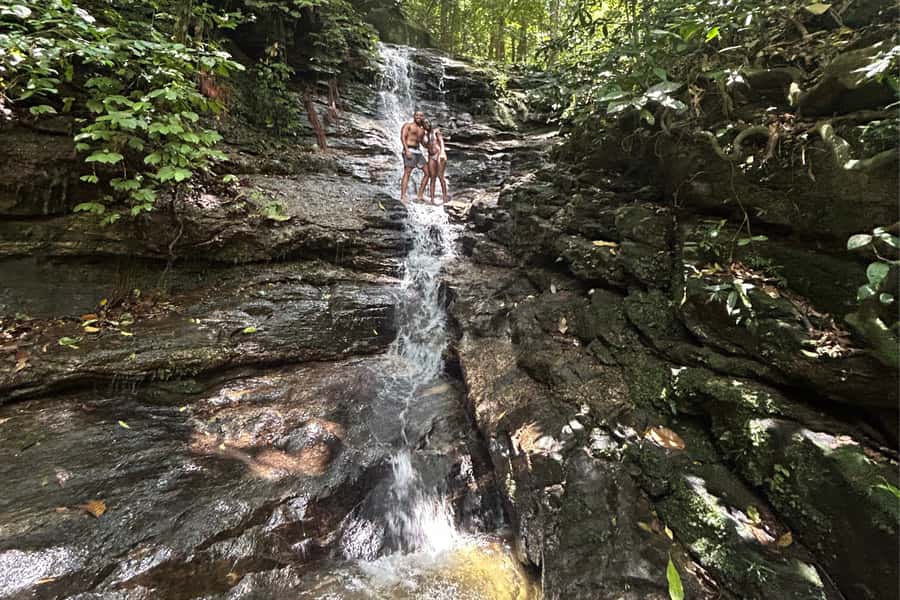 Rio de Janeiro: Tijuca National Park Tour - Viewpoints, waterfalls, and the rhythm of the four-and-a-half-hour tour