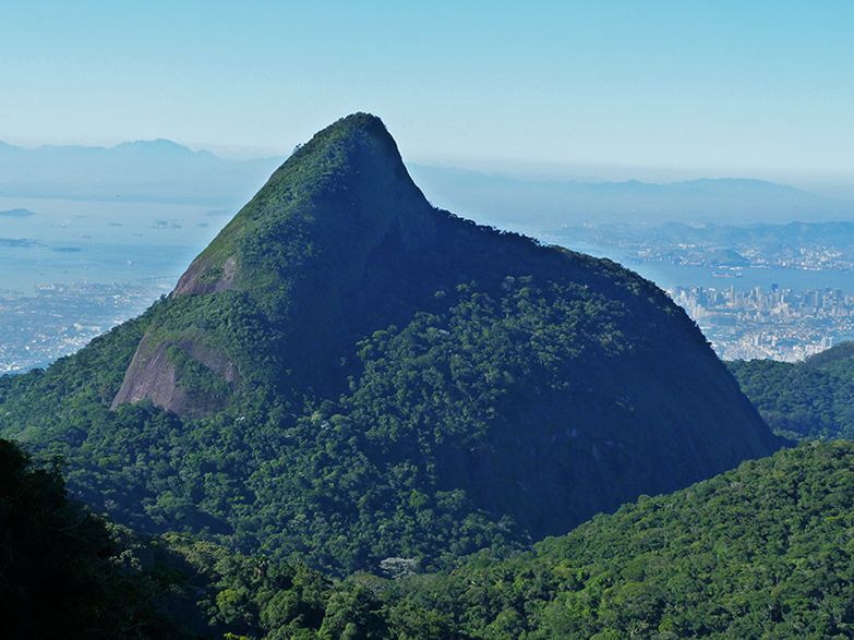 Rio de Janeiro: Tijuca Peak Guided Hike - The park museum puts the trail in context