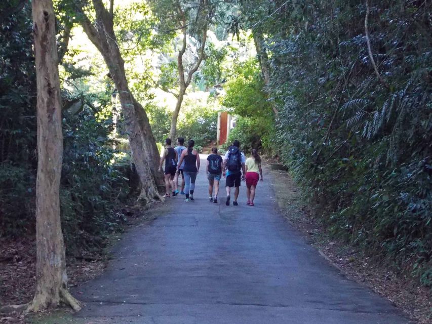 Rio de Janeiro: Tijuca Peak Guided Hike - Tijuca Mirim offers a second reward