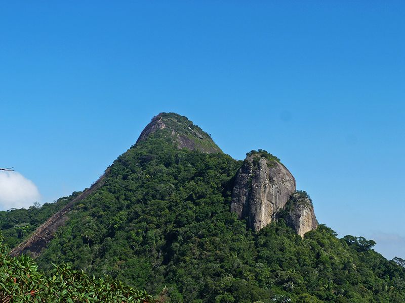 Rio de Janeiro: Tijuca Peak Guided Hike - The rock staircase is a memorable trail feature