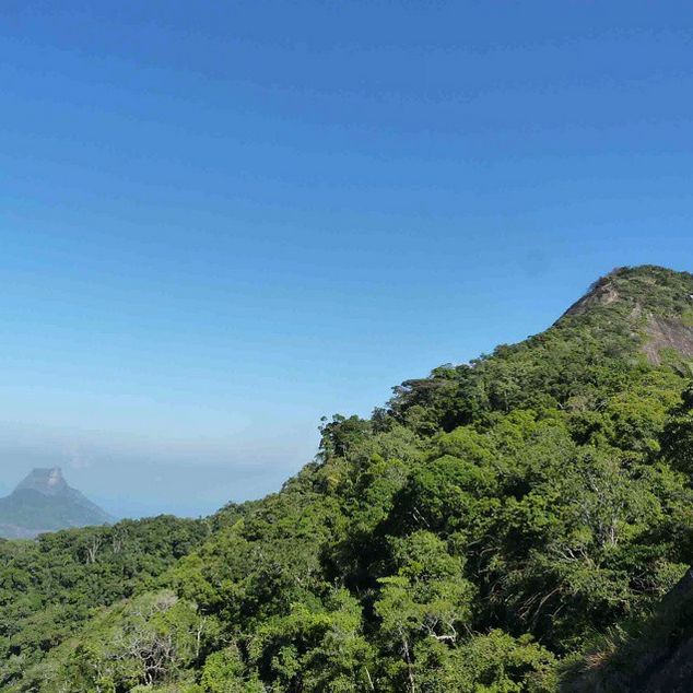 Rio de Janeiro: Tijuca Peak Guided Hike - What the six-hour duration really means
