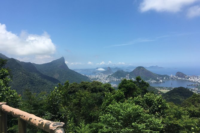 Rio de Janeiro Tijuca Rainforest Hike with Waterfalls and Caves - Taunay Waterfall brings the rainforest into focus