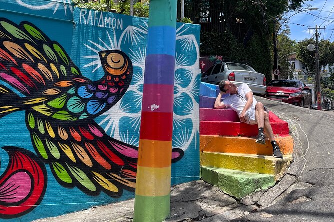 Rio Gay Tours: Christ Redeemer and Santa Teresa Artistry Area - What the private car and guide add