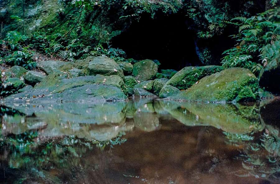 Rio: Half-Day Jeep Tour at Floresta da Tijuca - Cascatinha Visconde de Taunay: a short waterfall stop