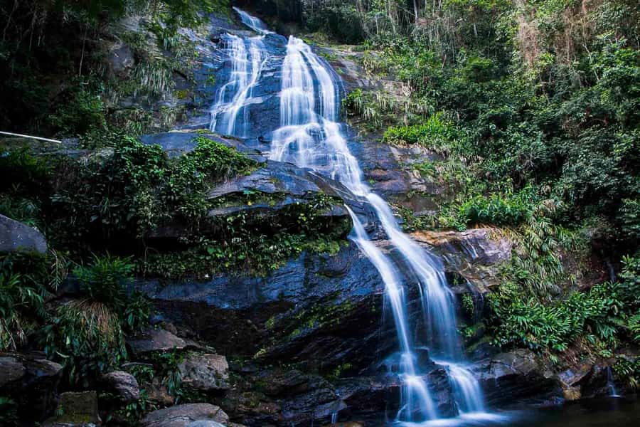 Rio: Half-Day Jeep Tour at Floresta da Tijuca - Capela Mayrink and the first forest walk