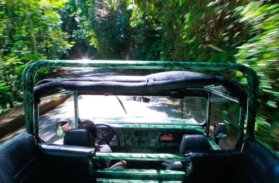 Rio: Half-Day Jeep Tour at Floresta da Tijuca - The second walk through Atlantic Forest