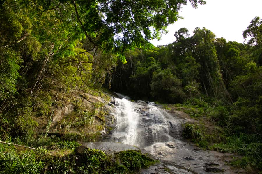 Rio: Half-Day Jeep Tour at Floresta da Tijuca - São Conrado Beach and the ride home