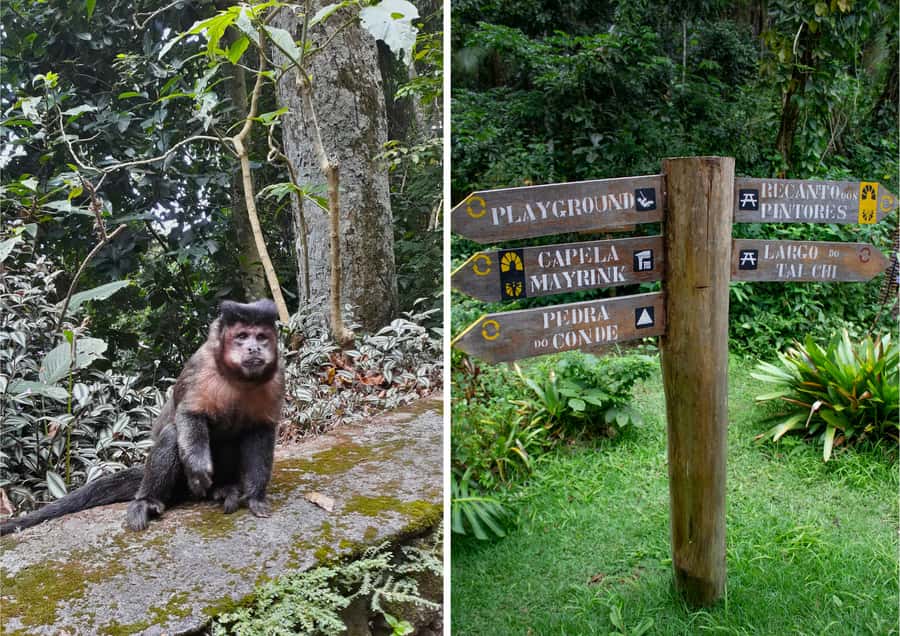 Rio: Half-Day Jeep Tour at Floresta da Tijuca - Is $60 a fair price?