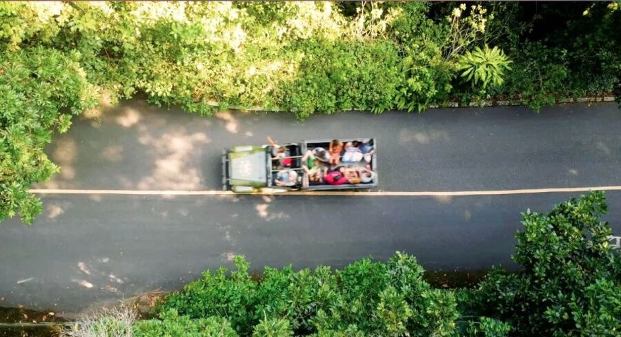 Rio: Jeep Tour with Corcovado, Tijuca Forest and Sta Teresa - Is $145 a fair price?