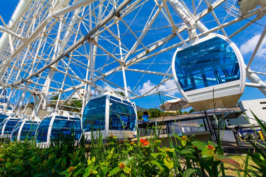 Rio: Museum of Tomorrow, Yup Star & Olympic Boulevard - Key points to know before you book