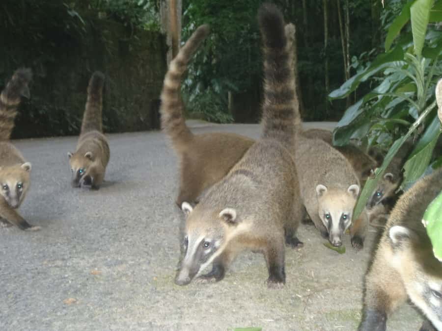 Rio: Private Tour 5 Hours Customized Tour With a Local Guide - Exploring Local Areas Beyond the Big Sights