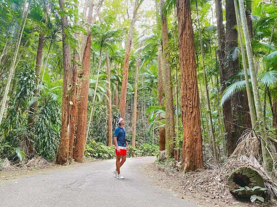 Rio’s Green Treasures: Tijuca Forest & Jardim Botânico Tour - Why this Rio nature tour works well