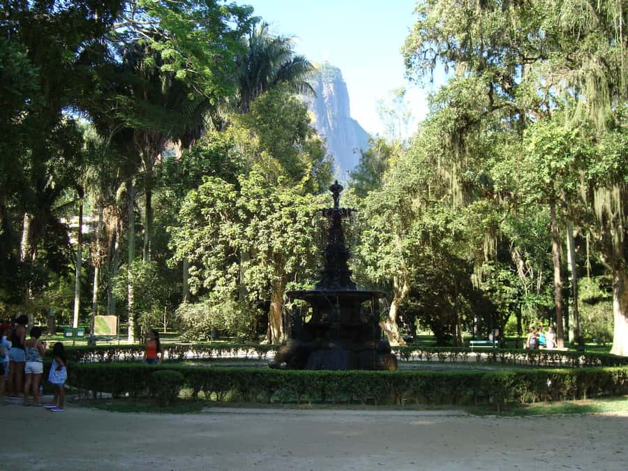 Rio’s Green Treasures: Tijuca Forest & Jardim Botânico Tour - Tijuca National Park: Rio’s wilder side