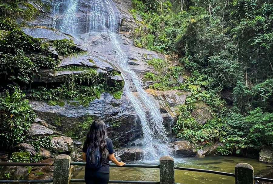 Rio’s Green Treasures: Tijuca Forest & Jardim Botânico Tour - What the $103 price really covers