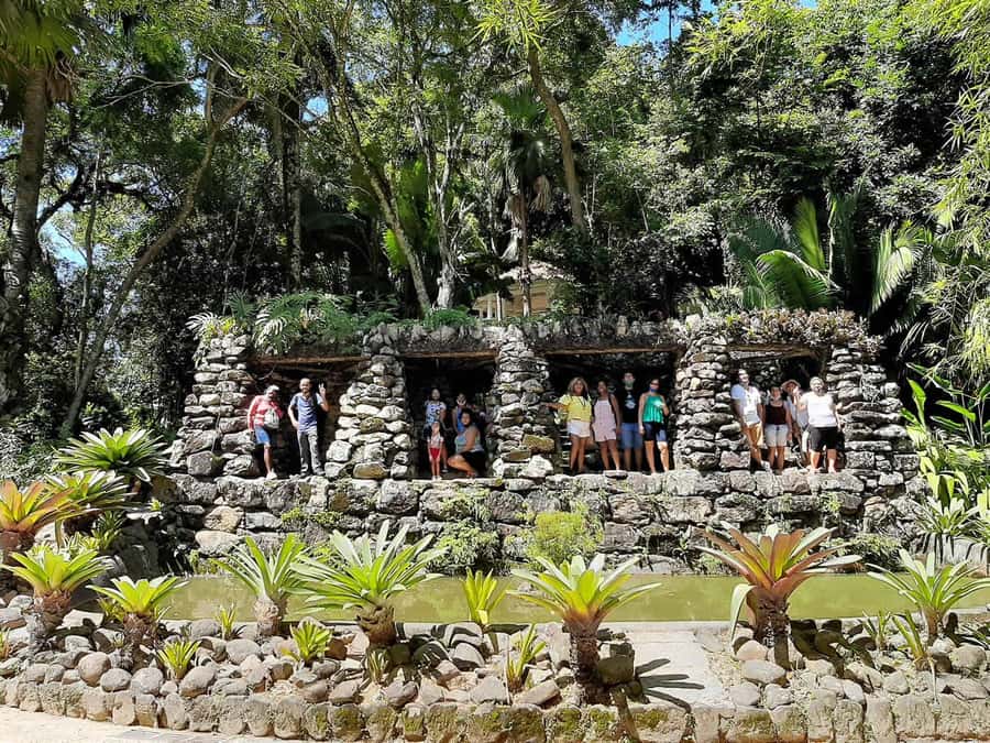 Rio’s Green Treasures: Tijuca Forest & Jardim Botânico Tour - Who should book this experience?