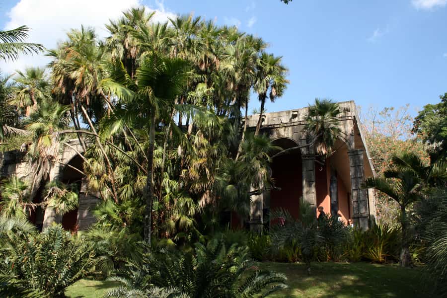 Rio: Sitio Burle Marx and Cachaça Distillery Private Tour - Why Sítio Burle Marx deserves the morning
