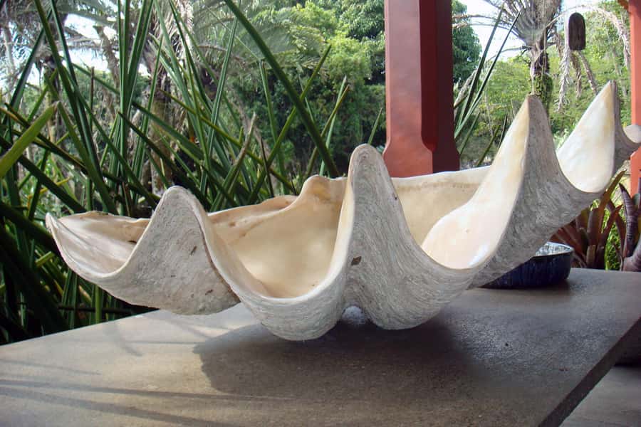 Rio: Sitio Burle Marx and Cachaça Distillery Private Tour - Two afternoon routes, one important decision