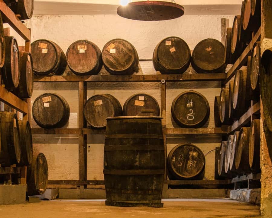 Rio: Sitio Burle Marx and Cachaça Distillery Private Tour - Is $178 per person a fair price?