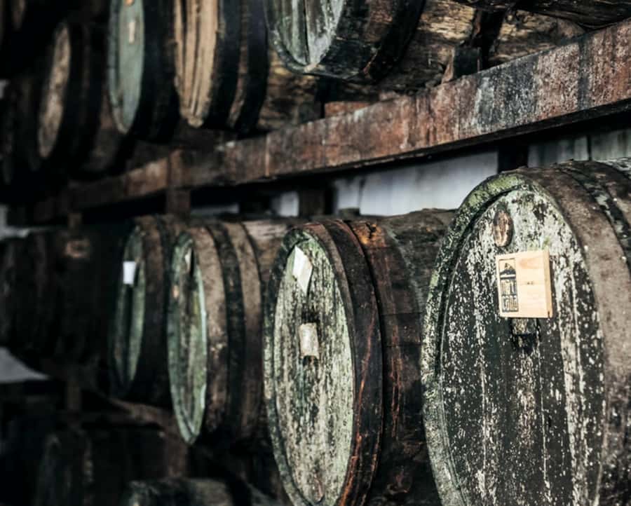 Rio: Sitio Burle Marx and Cachaça Distillery Private Tour - What to pack for a long Rio day