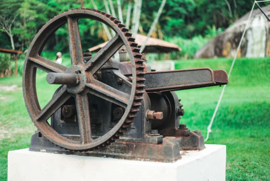 Rio: Sitio Burle Marx and Cachaça Distillery Private Tour - Who will enjoy this tour most?