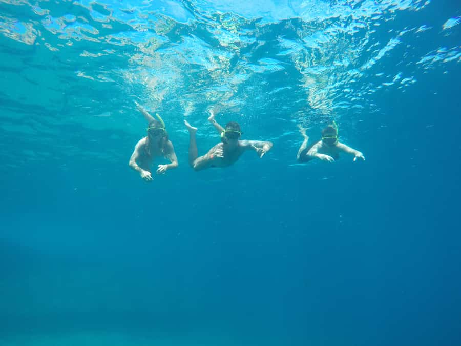 Rio: Snorkel & Swim with Turtles Tour at Tijuca Islands - Key points to know before booking