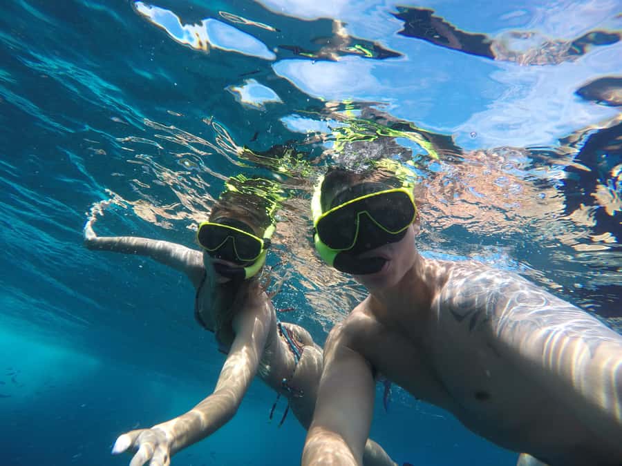 Rio: Snorkel & Swim with Turtles Tour at Tijuca Islands - Who will enjoy this tour most?