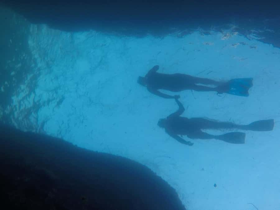 Rio: Snorkel & Swim with Turtles Tour at Tijuca Islands - Why this boat trip adds something different to Rio