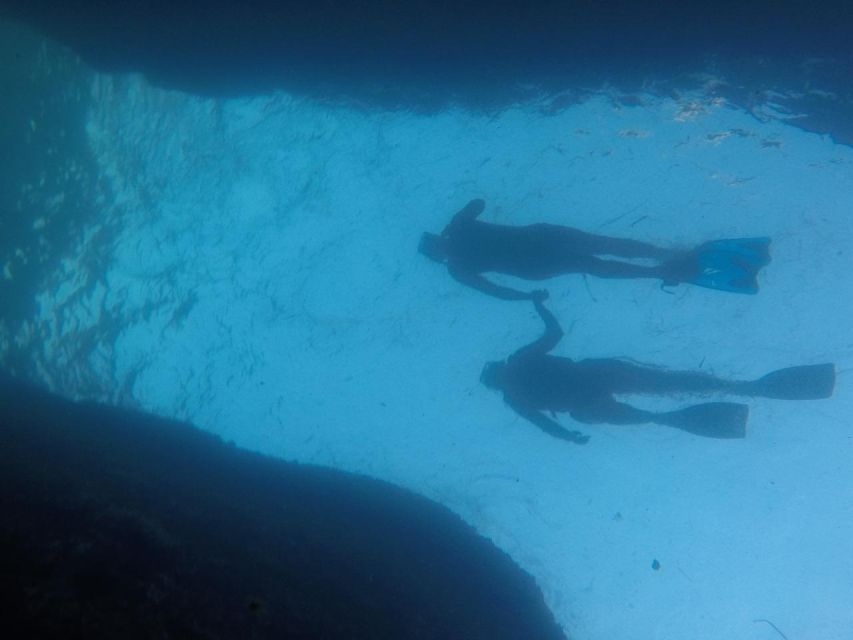 Rio: Snorkel & Swim with Turtles Tour at Tijuca Islands - The return ride and what the timing means