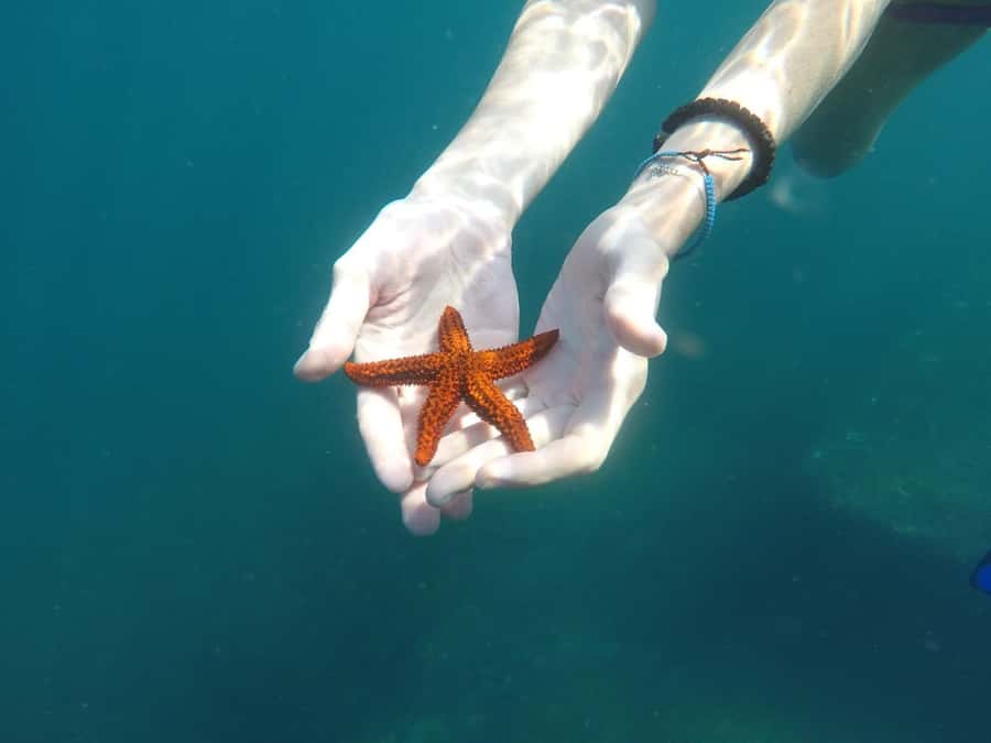 Rio: Snorkel & Swim with Turtles Tour at Tijuca Islands - What to pack for a comfortable morning