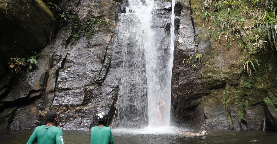 Rio: Tijuca Forest & Horto Waterfalls Circuit Tour - Key points before you book