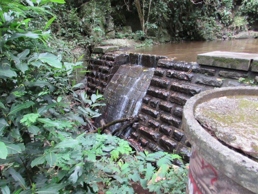 Rio: Tijuca Forest & Horto Waterfalls Circuit Tour - Why this forest tour makes sense in Rio