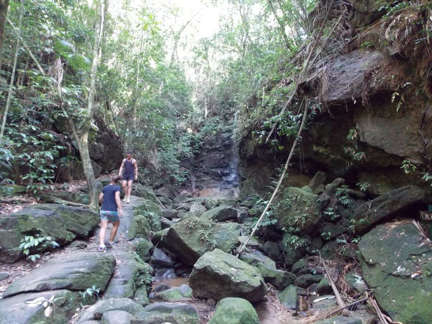 Rio: Tijuca Forest & Horto Waterfalls Circuit Tour - Following the Horto Waterfall Trail