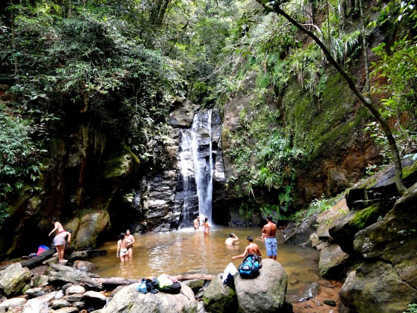 Rio: Tijuca Forest & Horto Waterfalls Circuit Tour - Wildlife, viewpoints, and the forest story