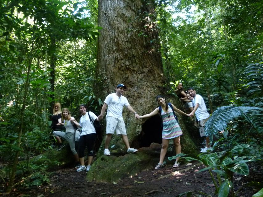 Rio: Tijuca Forest & Horto Waterfalls Circuit Tour - What the $56 price includes