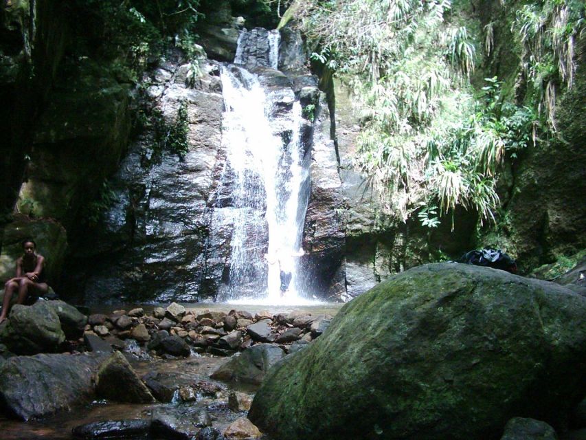 Rio: Tijuca Forest & Horto Waterfalls Circuit Tour - Who should book this waterfall circuit?