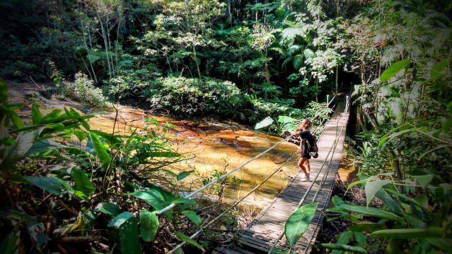 Rio: Tijuca Forest Small Group Hike to Caves and Waterfalls - Five things to know before you go