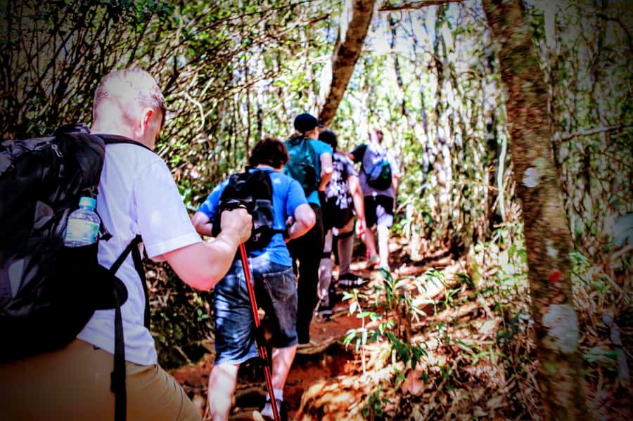 Rio: Tijuca Forest Small Group Hike to Caves and Waterfalls - Mayrink Chapel and the old plantation routes